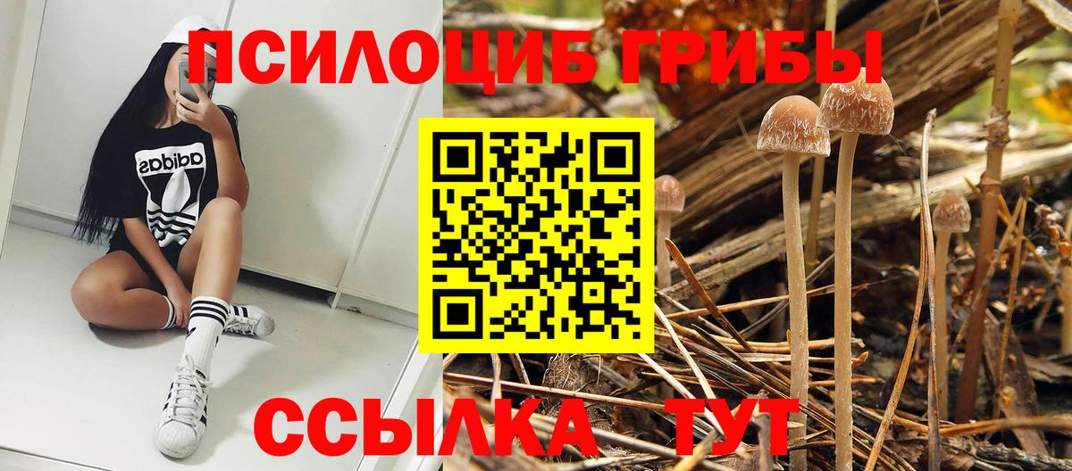 Галлюциногенные грибы Magic Shrooms  Галлюциногенные грибы ЛСД  Баксан  Вход с VPN 